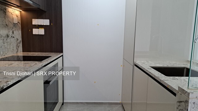 Tembusu Grand (D15), Condominium #524864611